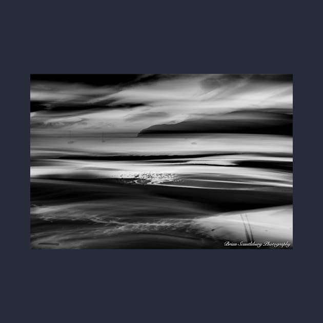 Black and white Abstract in nature intentional camera movement sunset by brians101