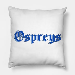 UNF Ospreys Sticker Pillow