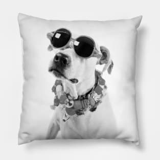 Cool Dog Wearing Glasses and Accessories Pillow