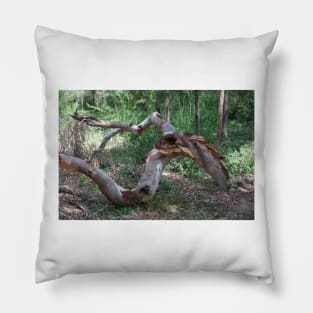 Fallen Limb Pillow