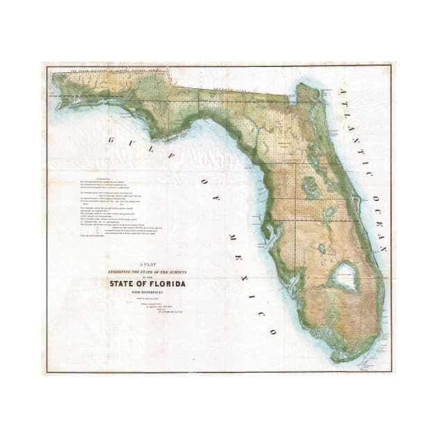 Vintage Map of Florida (1848) by Bravuramedia