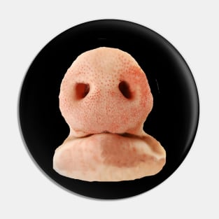 Pig nose Pin