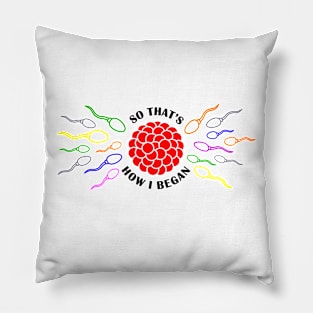 So that s how i began t shirt Pillow