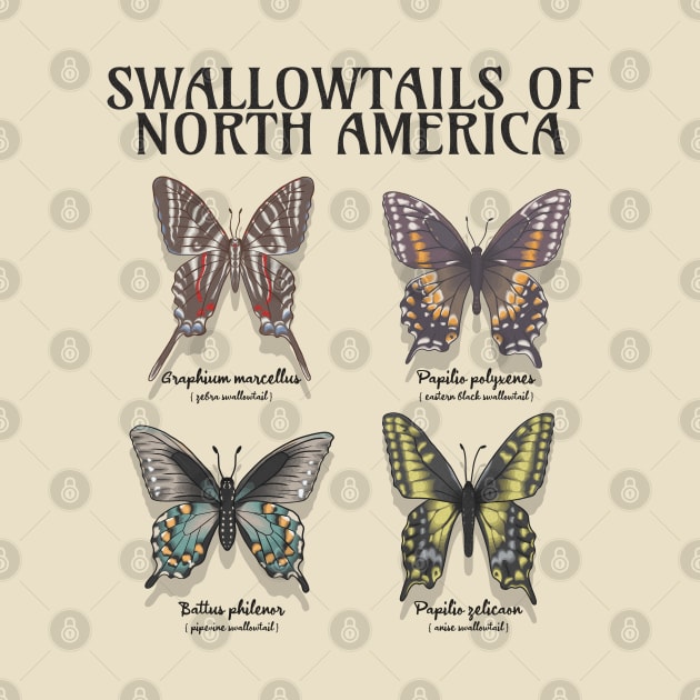 Swallowtails of North America Collection by Sepheria