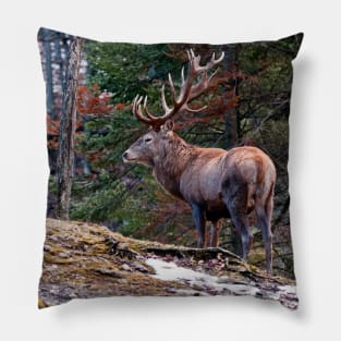 Bull Red Deer Pillow