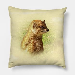 Yellow mongoose portrait Pillow