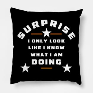 Only look like I know what I am doing - sarcastic comment Pillow