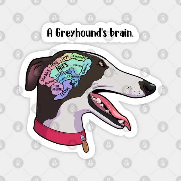 Greyhound's brain Magnet by Iluvmygreyhound