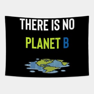 There Is No Planet B Tapestry