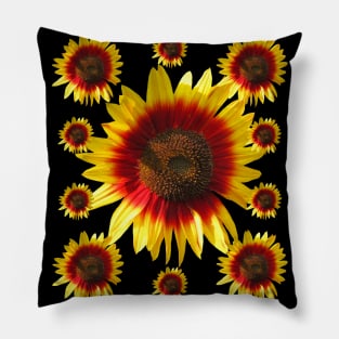colorful, blooming sunflowers, sunflower, flowers Pillow