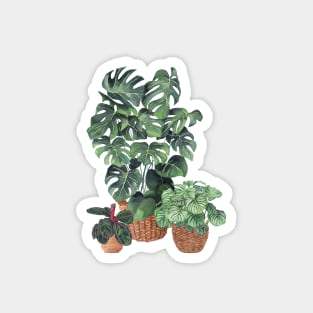 House Plants 50.2 Magnet