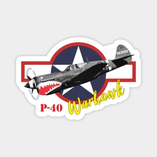 Curtiss P-40 Warhawk World War II fighter Magnet