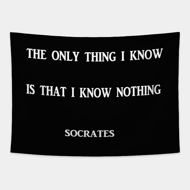 Socrates famous quote Tapestry by icarusismartdesigns