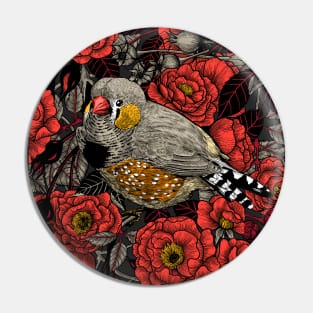 Zebra finch and red rose bush Pin