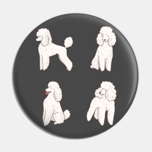 poodle dog pack Pin