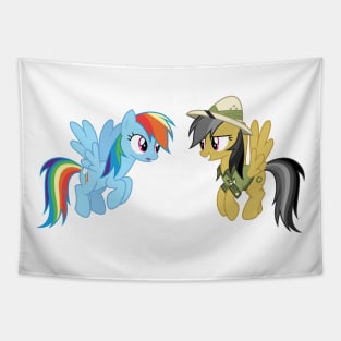 Rainbow Dash and Daring Do Tapestry