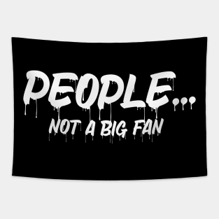 Funny People Not A Big Fan Introvert Sarcasm 4 Tapestry