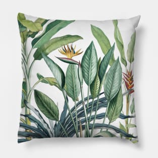 Green Tropical Jungle Banana Tree Strelitzia Pillow