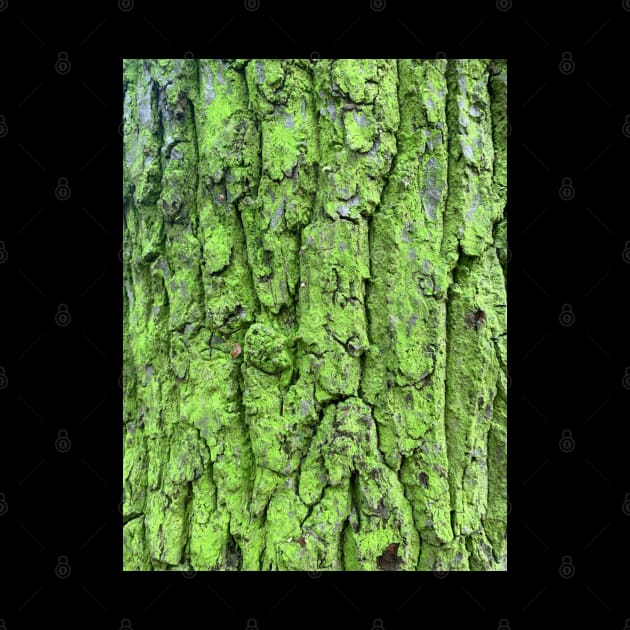 Verdant, moss green tree bark, Mug, Wall Art by DeniseMorgan