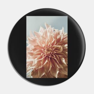 Always the Optimist x botanical pink dahlia flower photograph Pin