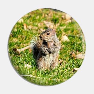 A Squirrel Crossing Its Arms Pin