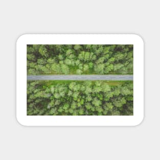 Empty straight road through the forest top down aerial view Magnet