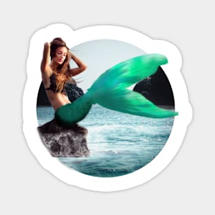 The Mermaid Magnet