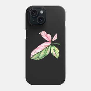 Syngonium Pink Splash Leaf Phone Case