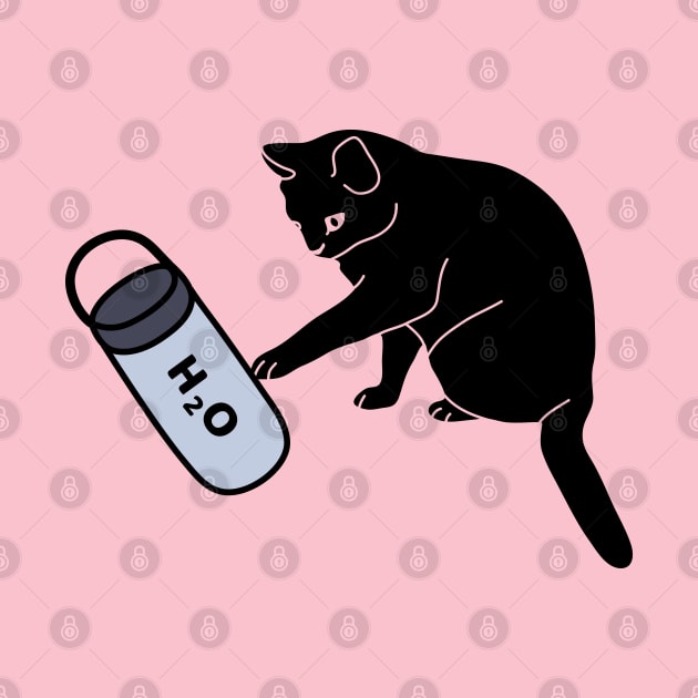 Black cat and water bottle by Wlaurence