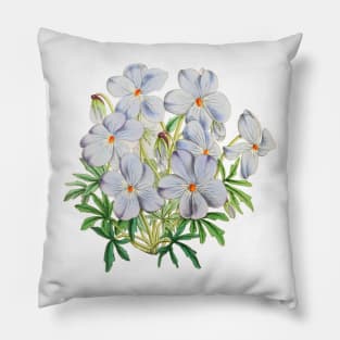 A Bouquet of Violets Vintage Botanical Illustration Pillow