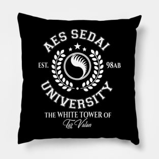 school to be aes sedai Pillow