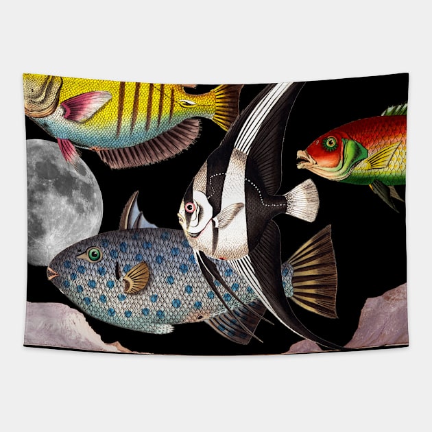 Fish World Collage Tapestry by snexus