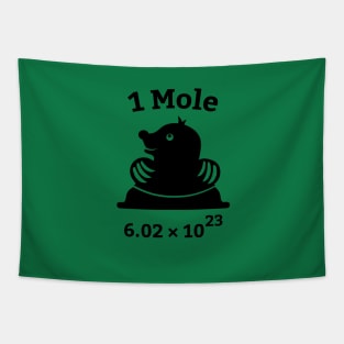 Funny Chemistry Shirts | 1 Mole Avogadro's Number Tapestry