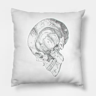 Academia Skull Pillow