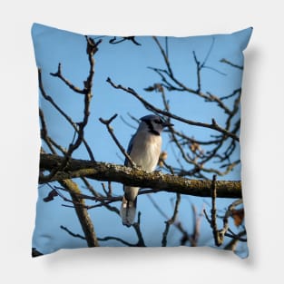 A Blue Jay Perched On a Tree Branch Pillow