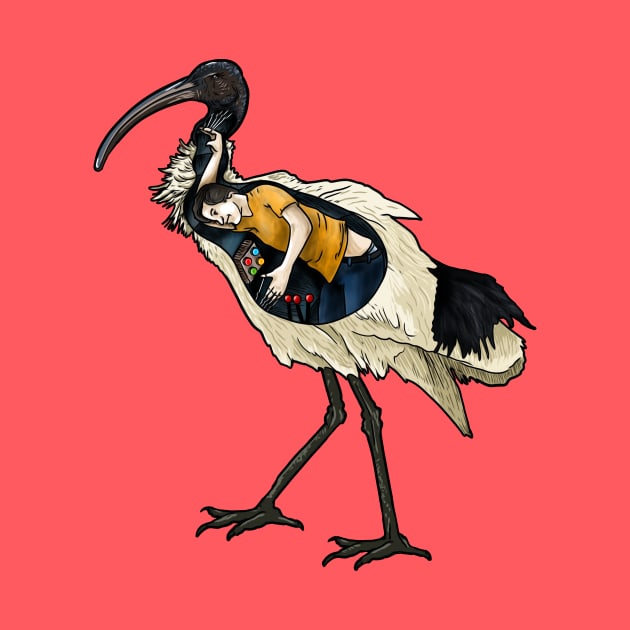 Ibis by Harley Warren