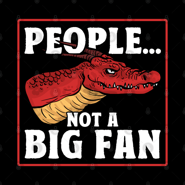 Dragon People Not A Big Fan Grumpy Dragon by Toeffishirts