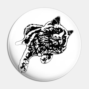 Cat Pin