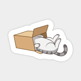 Cat in the box Magnet