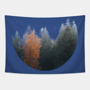 Misty Pine Forest Minimal Circle Tapestry