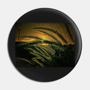 Dawn Pin