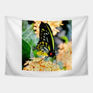 Great Mormon Butterfly Tapestry