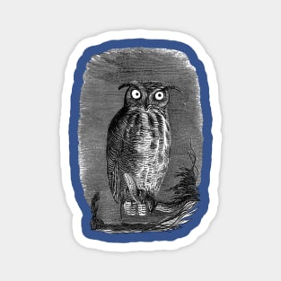 Halloween Owl at Night Magnet