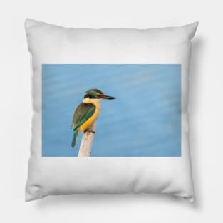 Beautiful sacred kingfisher portrait Pillow