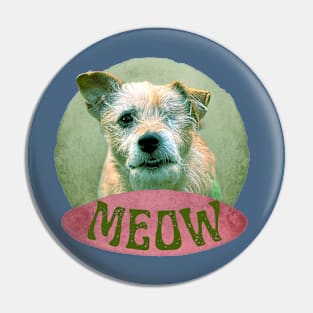 Meowing dog with one eye Pin