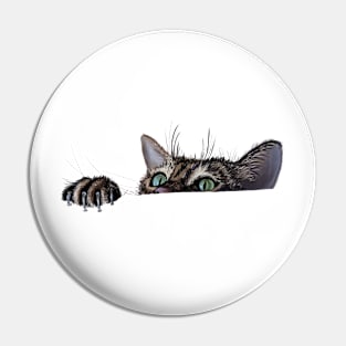 Hang In There Kitty! Pin