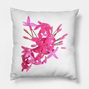 Pink Flowers of Florida Pillow