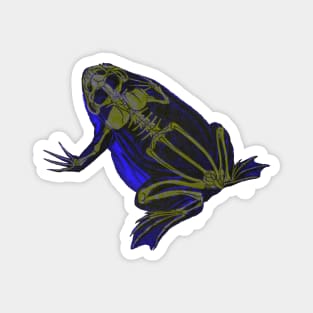 Skeleton Frog Interactive Yellow&Blue Filter #2 By Red&Blue Magnet