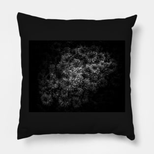 Backyard Flowers In Black And White 29 Pillow