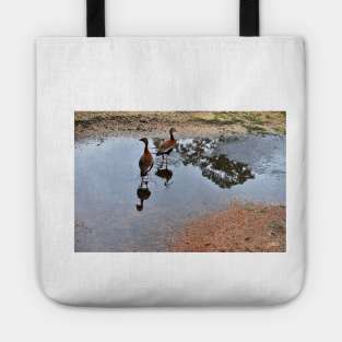 ducks in park the wetland landscape with lovely birds Tote